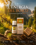 Olio essenziale di Larice – purifica e supporta il benessere respiratorio