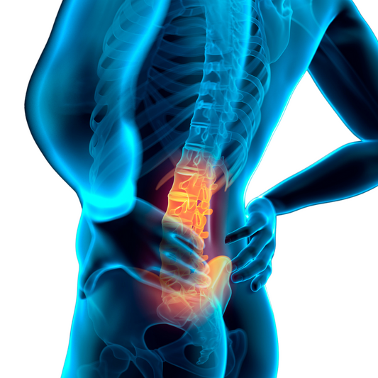 Fascia Magnetica Lombare