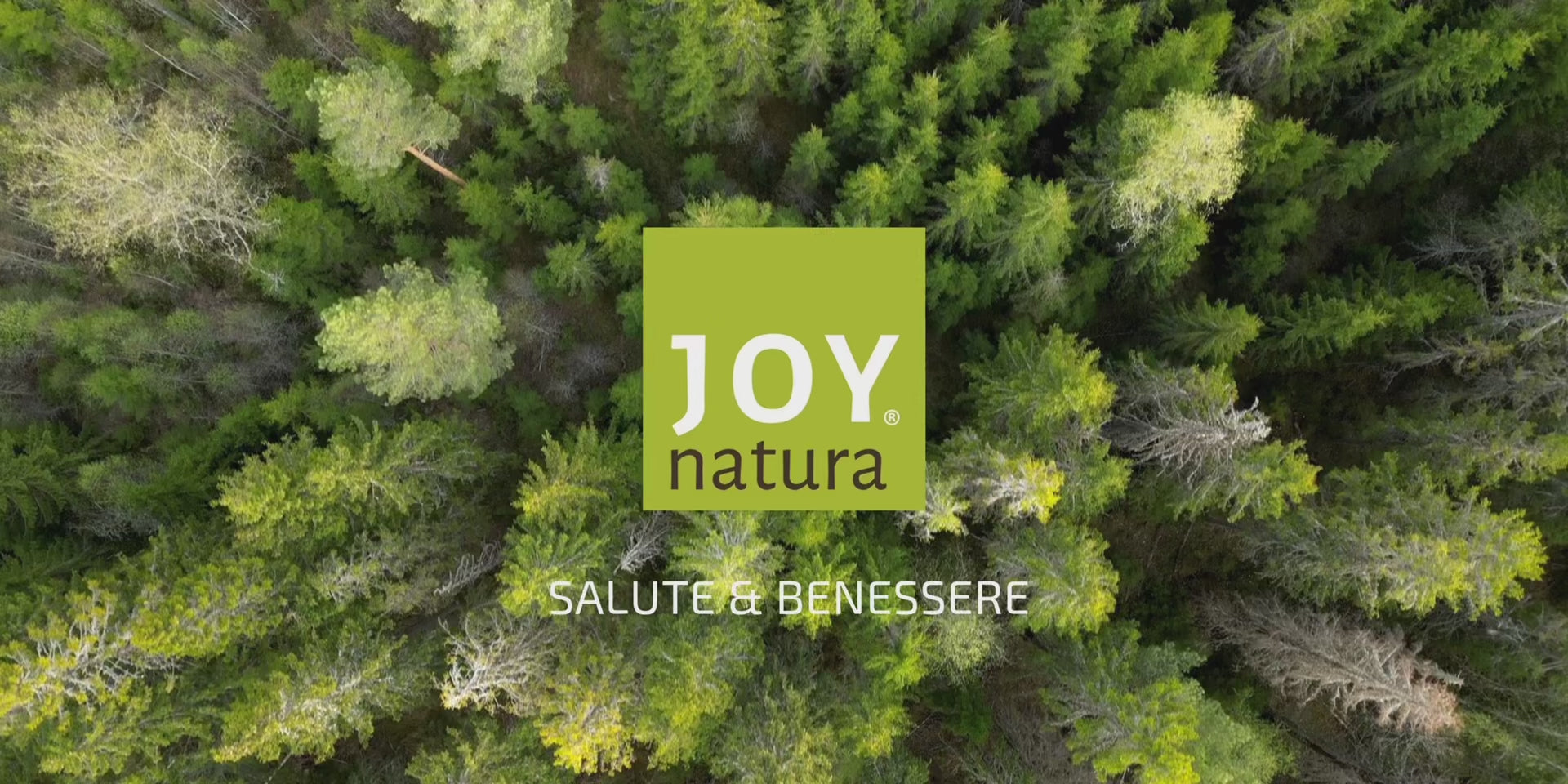 Carica il video: 